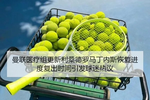曼联医疗组更新利桑德罗马丁内斯恢复进度复出时间引发球迷热议